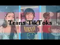 trans tiktoks to distract you from dysphoria