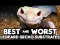 BEST and WORST Leopard Gecko Substrates