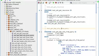 run utPLSQL test v0 2 0