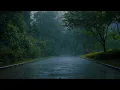 Download Lagu 【白噪音，雨聲】✅樹林裡的真實雨聲和遠處的雷聲⚡讓人放鬆，讓人入睡，（睡眠/治愈/寫作業環境音）