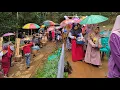 Download Lagu Hujan Deras Tak Halangi‼️Jajap Pengantin Di Pedesaan Tetap Jalan Walaupun Pake Payung \u0026 Jalan Licin