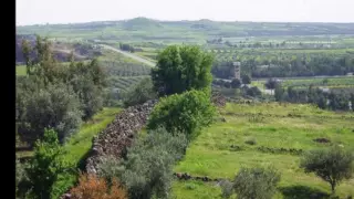 ربابة يحيى القنطار غاب الصفا 