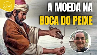 O que significa a MOEDA que Pedro encontra na BOCA do PEIXE?