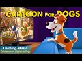 Lagu Dog Cartoon: Soothing Dog TV to Prevent Boredom for Dogs When Home Alone🐶Anti-Anxiety Music for Dogs