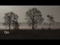 M. Richter: November | Covert Ensemble