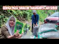 Download Lagu PERSIPAN BERKEBUN BELI BIBIT SAYURAN DAN TANAH YANG SUDAH DI CAMPUR PUPUK KANDANG