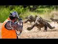 The KOMODO DRAGON Should Not Exist Here s Why It s Still ALIVE