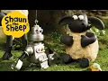 Lagu Timmy's New Magnetic Friend 🧲 Shaun the Sheep Season 2 Full Episodes🐑