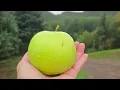 🇨🇦  Life on the TRAILS of Cape Breton Island Nova Scotia || Backyard Bliss 