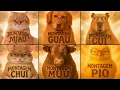 Lagu Montagem Miau vs Guau vs Cui vs Chui vs Muu vs Pio: Animal Phonk Gallore