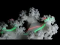 Real-life fractal tree zoom