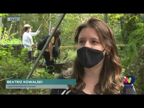 Dia Mundial do Meio Ambiente: Capital recebe programação de uma semana dedicada a data