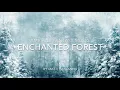 1 hour of Ambient Fantasy Music | Tranquil Atmospheric Ambience | Enchanted Forest