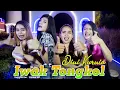 Download Lagu Dini Kurnia - Iwak Tongkol [Official Music Video]