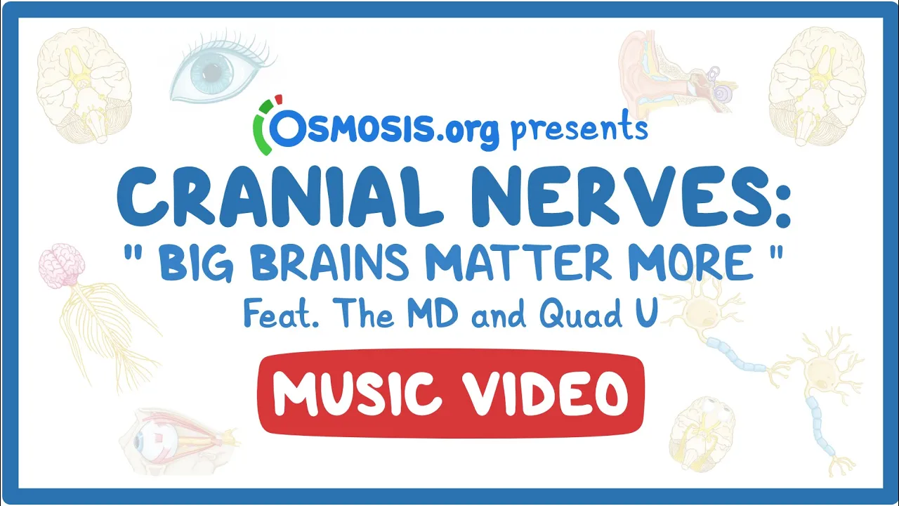 Cranial Nerves Music Video: Big Brains Matter More