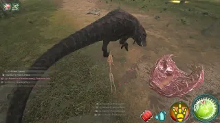 making apex carnivores regret existing in my presence beasts of bermuda
