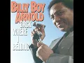 I Wish You Would - Billy Boy Arnold