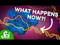 Download Lagu The First CRISPR Gene Therapy Is Here