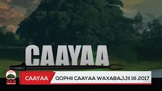Caayaa OBN Waxabajjii 16 2017 