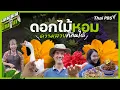 Download Lagu ดอกไม้หอม ความสวยที่กินได้ | มหาอำนาจบ้านนา