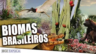 O que é Bioma e quais são os 6 Biomas brasileiros? • IBGE Explica