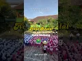 Download Lagu SDNP2: Halal Bihalal SDN Percobaan 2 Kota Malang. Selamat Hari Raya Idul Fitri 1 Syawal 1446H.