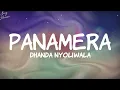 PANAMERA - Dhanda Nyoliwala (Official Lyric Video)