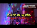 Download Lagu DJ Caplok Meong Bagus Wirata Remix Fullbass 2024