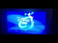 Tinkerbell Dots the Disney I