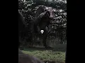 Download Lagu WHAT IF 💀 | Jurassic World + Jurassic Park III | #shorts