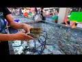 Download Lagu Eating at a Seafood Market in Bangkok Thailand