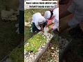 Download Lagu ZIARAH MAKAM WALI ❗ KUNCI BAHAGIA KUNCI SUKSES BERKAH DUNIA AKHIRAT. #shorts
