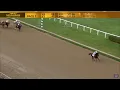 2026 West Virginia Governor s Stakes - Bracket Buster Runs 108 Beyer in 15 length Win