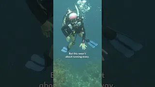 We Changed Where We Lived… So We Could Change How We Lived ❤️