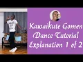 Download Lagu Kawaikute Gomen Dance Tutorial - Explanation Version Mirrored step-by-step (1 of 2)
