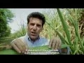 Download Lagu DIF Leontino Balbo Jr.  ERA Sustainable Agriculture System Sistema de agricultura sustentável