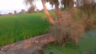 وصف قصير للجنة أحد اهل الجنه يطلب من الله شيئا غريبا شاهد للاخر 