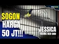 Download Lagu SOGON 50 JT!! JESSICA NASRUL N2F SUMEDANG CETAK HATTRICK