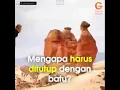 Lagu Motivasi Hidup Belajar Dari Pohon Kurma