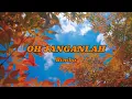 Download Lagu OH JANGANLAH - Bimbo (+lirik)