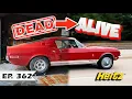 Download Lagu 1968 Shelby Hertz Rent-a-Racer - 4th of July Special!!