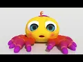 Itsy Bitsy Spider - CoComelon