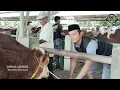 Download Lagu BOBOT 60 KG HARGA 33 JUTA‼️Review Harga Sapi Jantan di Pasar Siyonoharjo Gunungkidul‼️