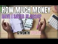 HOW MUCH MONEY HAVE I SAVED IN 2024 COUNTING SAVINGS CHALLENGES