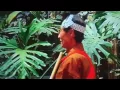Download Lagu No Comment - Sounds of the Journey - Kobe - Hawaii web