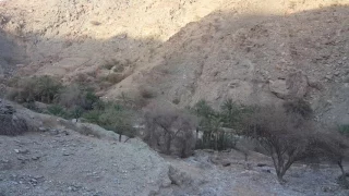 قرية العيينة في دبا الفجيرة 