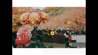 حالات واتس صلي عليك الله يا خير الوري 