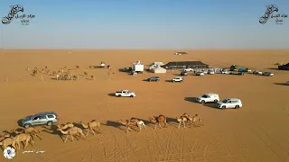  مزاد نجران للإبل   البل البل عطايا الله دندنها
