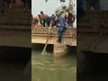 shows man pulling out enormous python from river News Arena India