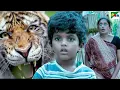 Download Lagu Tiger से बच्चे को बचाने के लिए माँ ने दी अपनी जान - Srikanth, Raai Laxmi, Naira Shah - Mirugaa